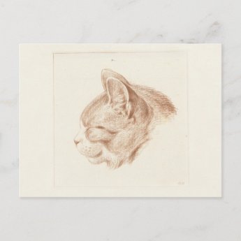 Vintage Fine Art - Sketch of a Cat