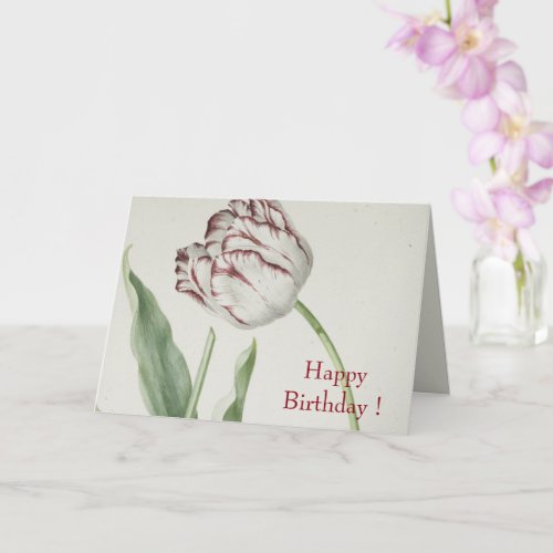 Vintage Fine Art White and Red Tulip Birthday  Card