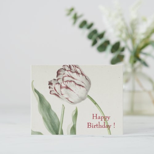 Vintage Fine Art White and Red Tulip Birthday Postcard