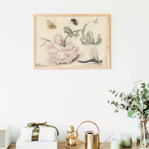 Vintage Fine Art with a Pale Pink Rose and Insects Poster