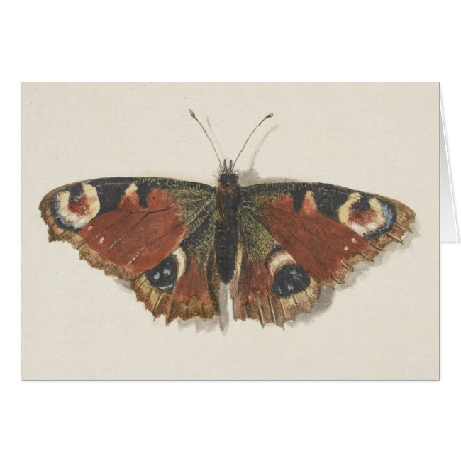 Vintage Fine Dutch Art: Butterfly