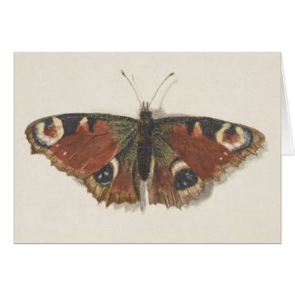 Vintage Fine Dutch Art: Butterfly Greeting Card