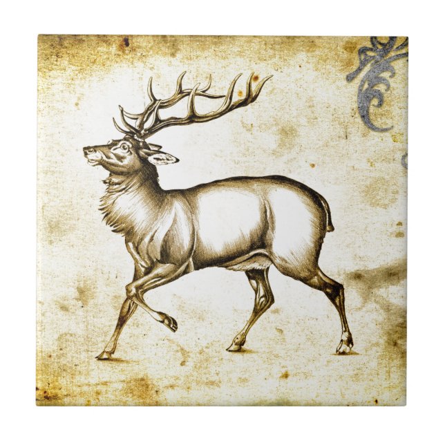 Vintage fineart F076 deer Tile (Front)