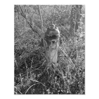 Vintage Fire Hydrant Photo Print