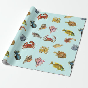 Vintage Fish and Shell Collection Nautical Marine Wrapping Paper