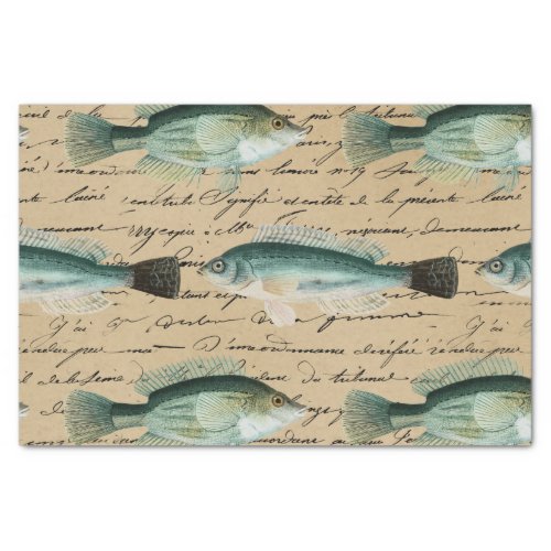 Vintage Fish Art Handwriting Text Cream Color Fish Tissue Paper