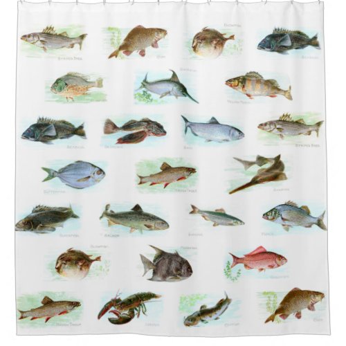 Vintage Fish Illustrations Shower Curtain