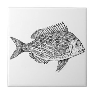 Vintage fish nautical marine art illustration ceramic tile