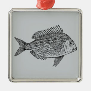 Vintage fish nautical marine art illustration metal ornament