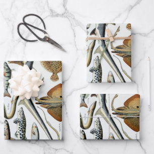 Vintage Fish of the World Poster Wrapping Paper Sheets