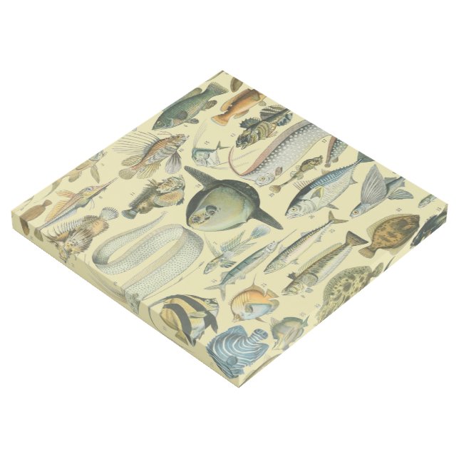 Vintage Fish Scientific Fishing Art (3/4)