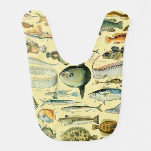 Vintage Fish Scientific Fishing Art Baby Bib