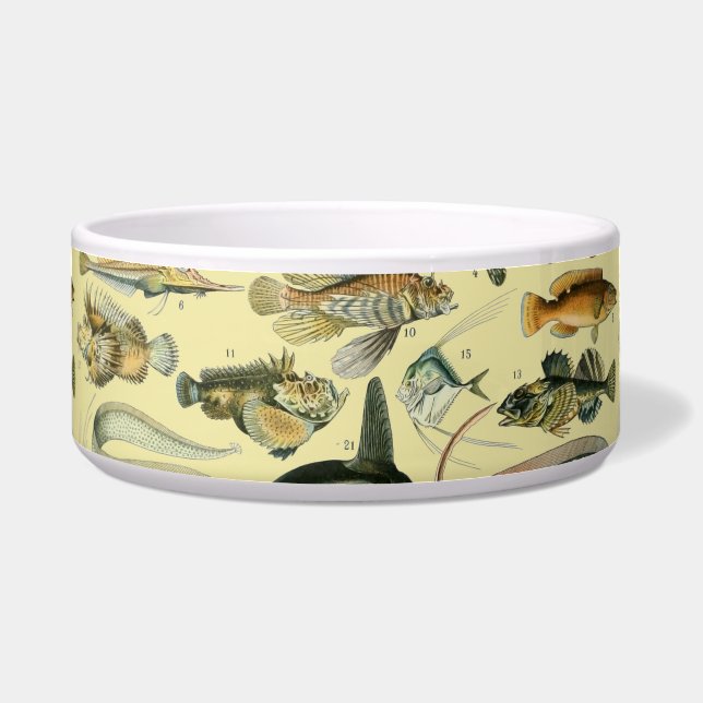 Vintage Fish Scientific Fishing Art Bowl (Front)