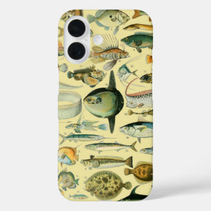 Vintage Fish Scientific Fishing Art iPhone 16 Case