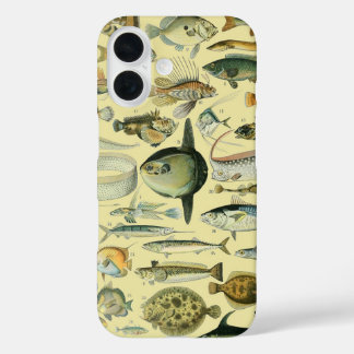 Vintage Fish Scientific Fishing Art iPhone 16 Case