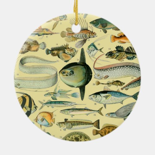 Vintage Fish Scientific Fishing Art Ceramic Ornament