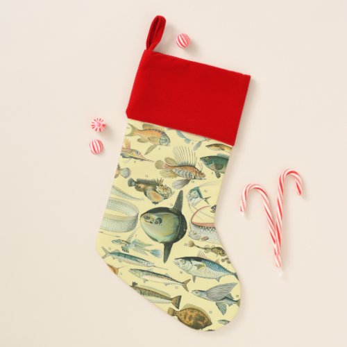 Vintage Fish Scientific Fishing Art Christmas Stocking