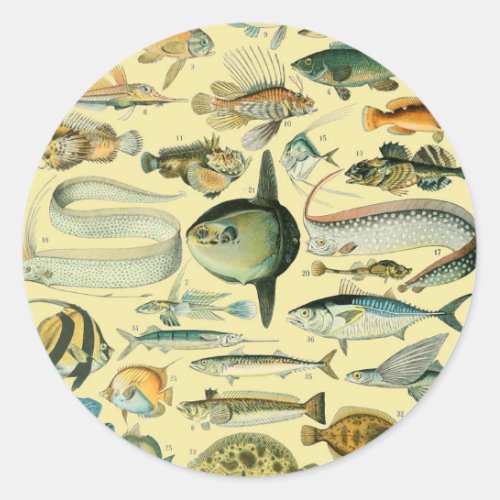 Vintage Fish Scientific Fishing Art Classic Round Sticker