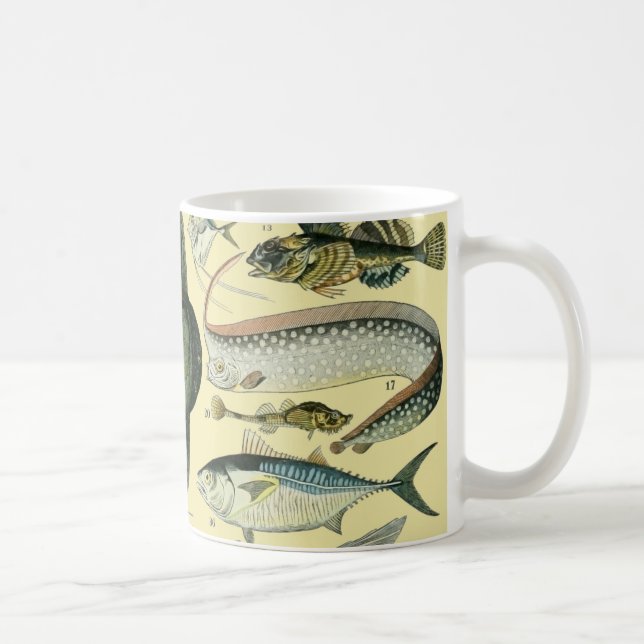 Vintage Fish Scientific Fishing Art Coffee Mug (Right)