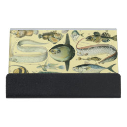 Vintage Fish Scientific Fishing Art Desk Business Card Holder