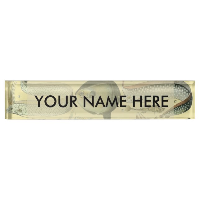 Vintage Fish Scientific Fishing Art Desk Name Plate (Front)