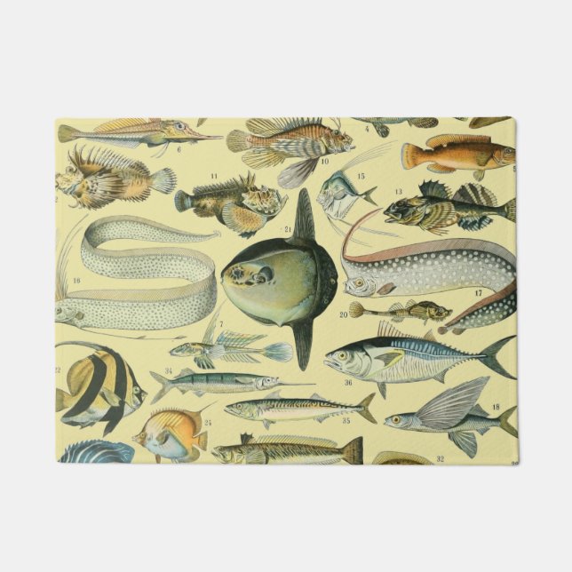 Vintage Fish Scientific Fishing Art Doormat (Front)