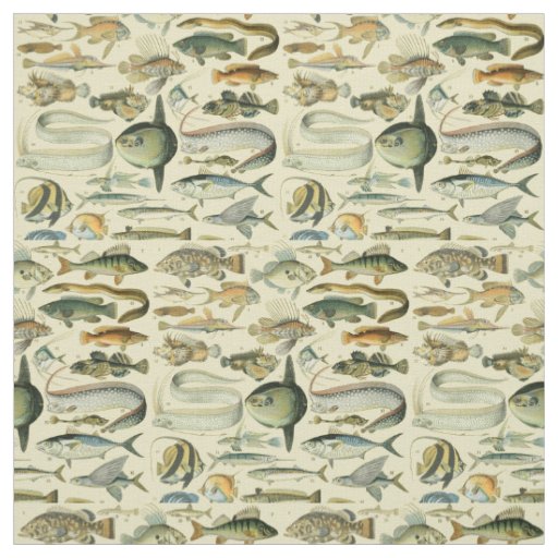 Vintage Fish Scientific Fishing Art Fabric
