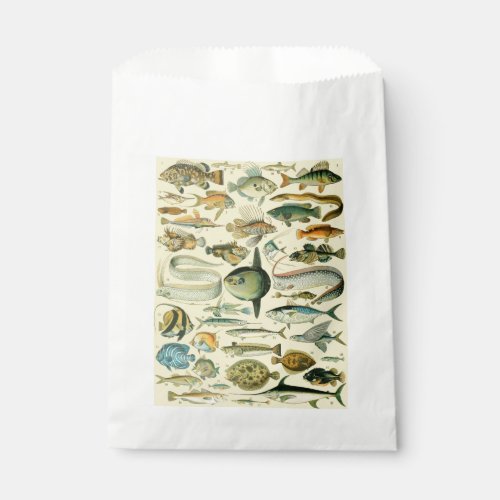 Vintage Fish Scientific Fishing Art Favor Bag