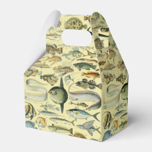 Vintage Fish Scientific Fishing Art Favor Boxes