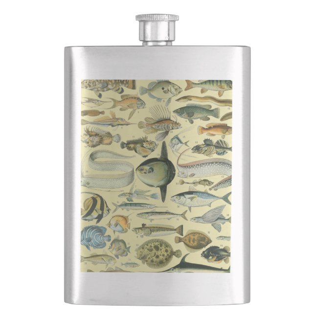 Vintage Fish Scientific Fishing Art Flask (Front)