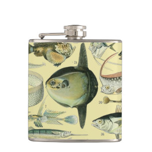 Vintage Fish Scientific Fishing Art Flask