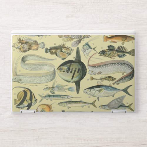 Vintage Fish Scientific Fishing Art HP Laptop Skin