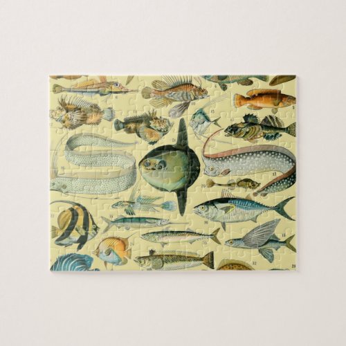 Vintage Fish Scientific Fishing Art Jigsaw Puzzle