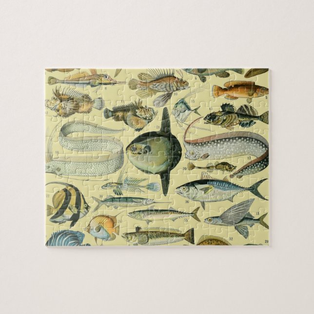 Vintage Fish Scientific Fishing Art Jigsaw Puzzle (Horizontal)