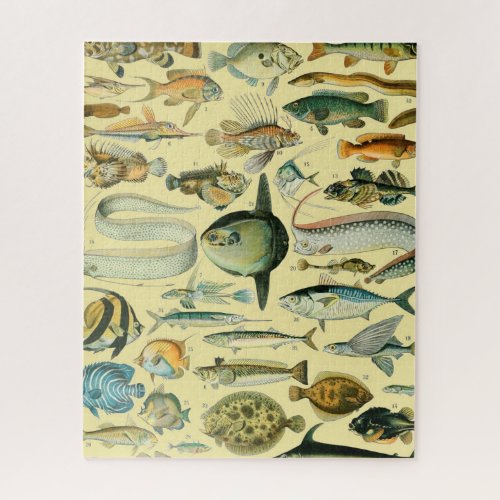 Vintage Fish Scientific Fishing Art Jigsaw Puzzle