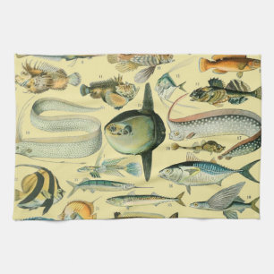 Vintage Fish Scientific Fishing Art Kitchen Towel