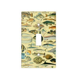 Vintage Fish Scientific Fishing Art Light Switch Cover