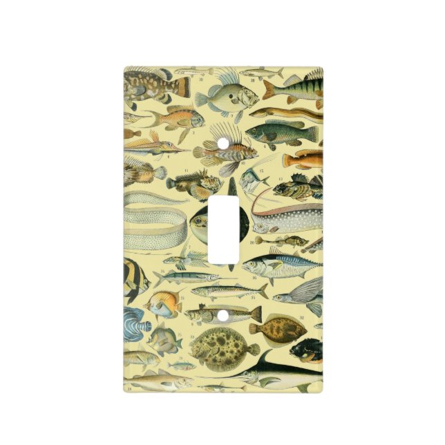 Vintage Fish Scientific Fishing Art Light Switch Cover (Front)