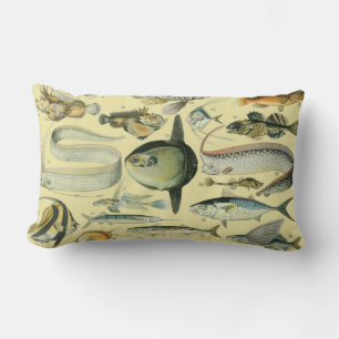 Vintage Fish Scientific Fishing Art Lumbar Pillow
