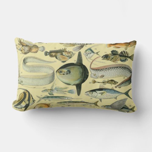 Vintage Fish Scientific Fishing Art Lumbar Pillow