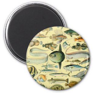 Vintage Fish Scientific Fishing Art Magnet