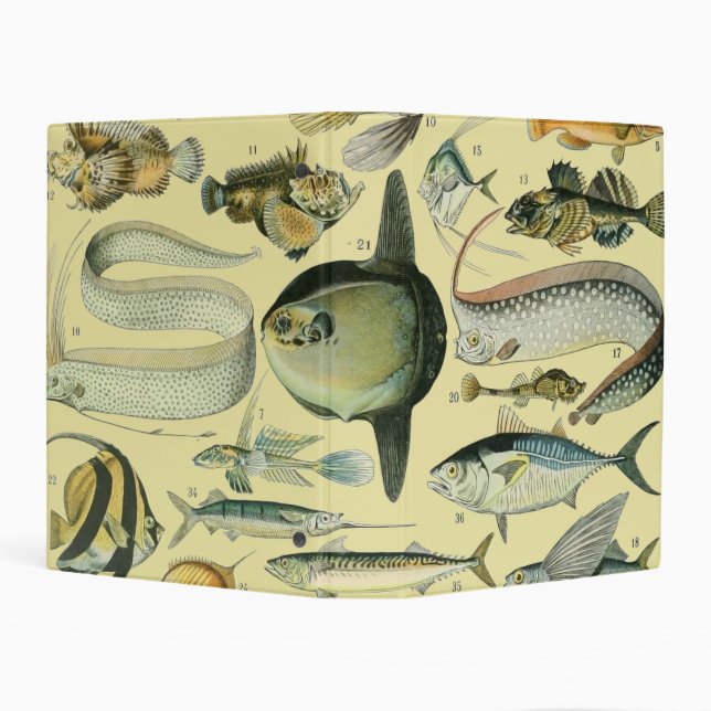 Vintage Fish Scientific Fishing Art Mini Binder (Background)