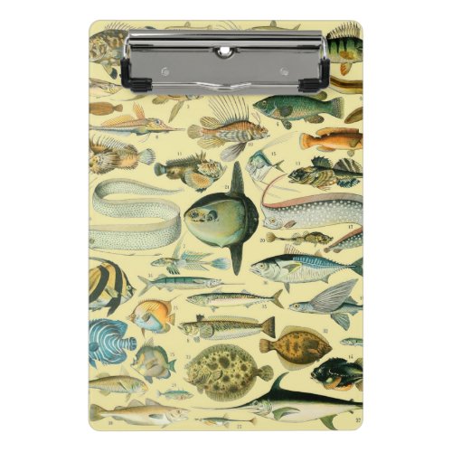 Vintage Fish Scientific Fishing Art Mini Clipboard