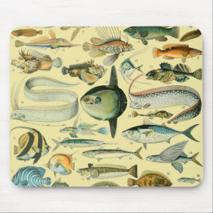 Vintage Fish Scientific Fishing Art Mouse Pad