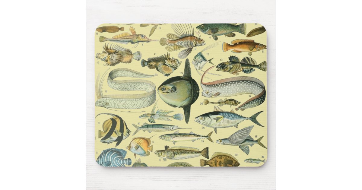 Bass Fishing Quotes for Anglers Fisherman Sports Mouse Pad, Zazzle