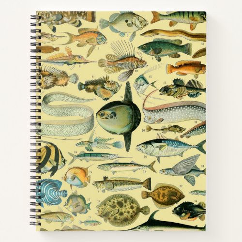 Vintage Fish Scientific Fishing Art Notebook