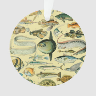 Vintage Fish Scientific Fishing Art Ornament