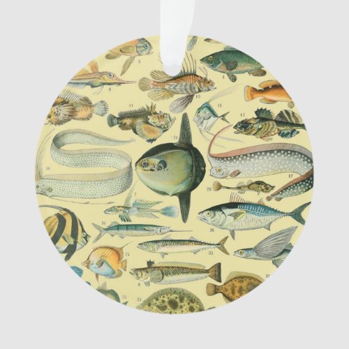 Vintage Fish Scientific Fishing Art Ornament