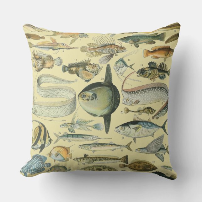 Vintage Fish Scientific Fishing Art Outdoor Pillow (Front)