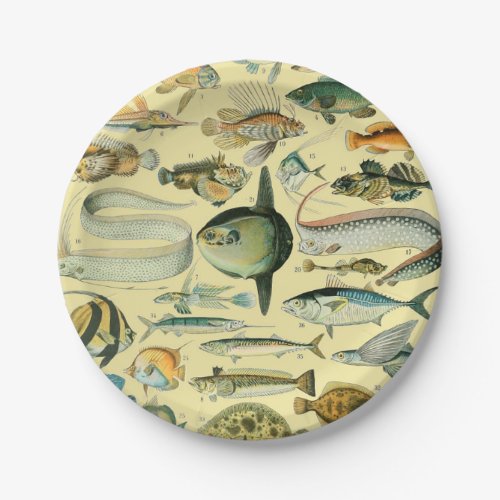 Vintage Fish Scientific Fishing Art Paper Plates